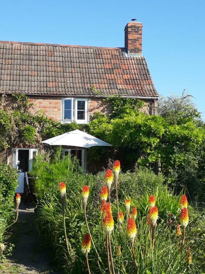 Morland Burrowbridge Exterior foto