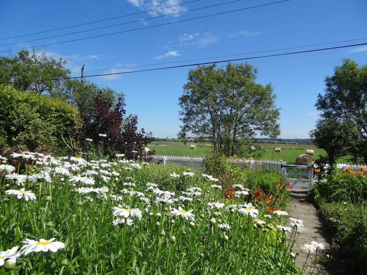 Morland Burrowbridge Exterior foto